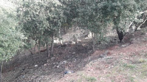 TERRENO CON IMPRESIONANTE VISTA!, immagine 4