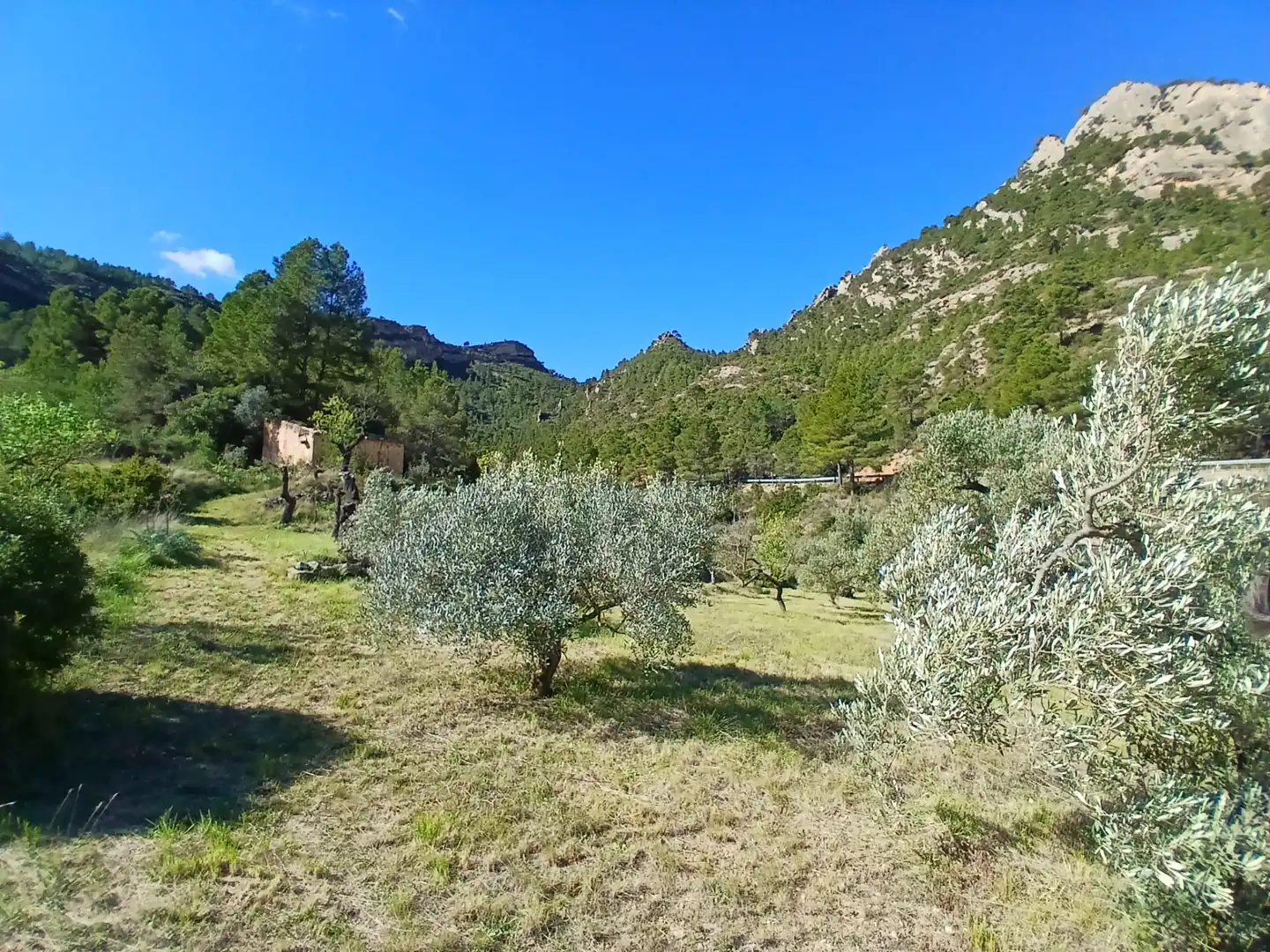 Land for sale in Prat de Comte