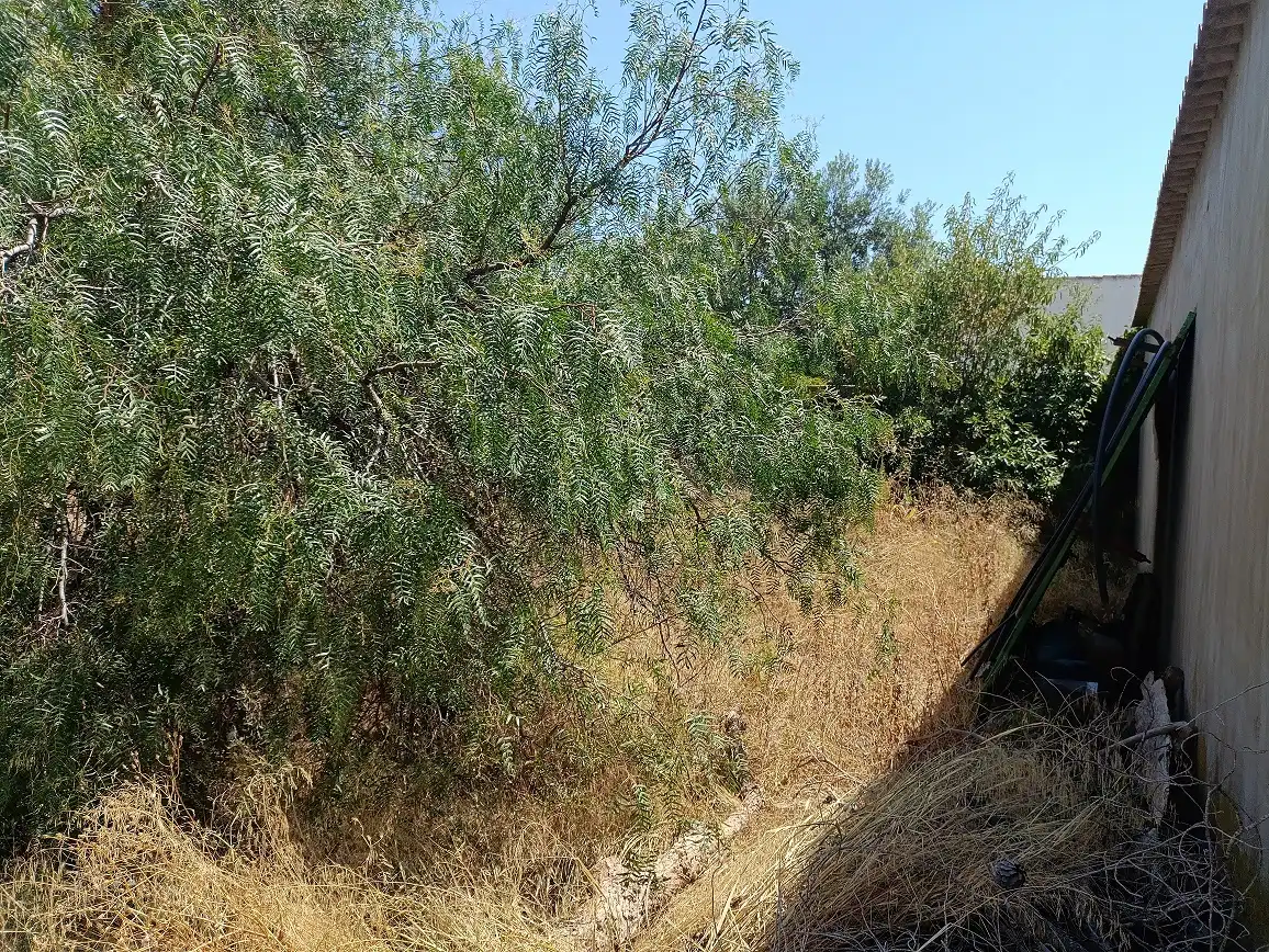 Adossat amb jardí en venda a Tobarra, imagen 3