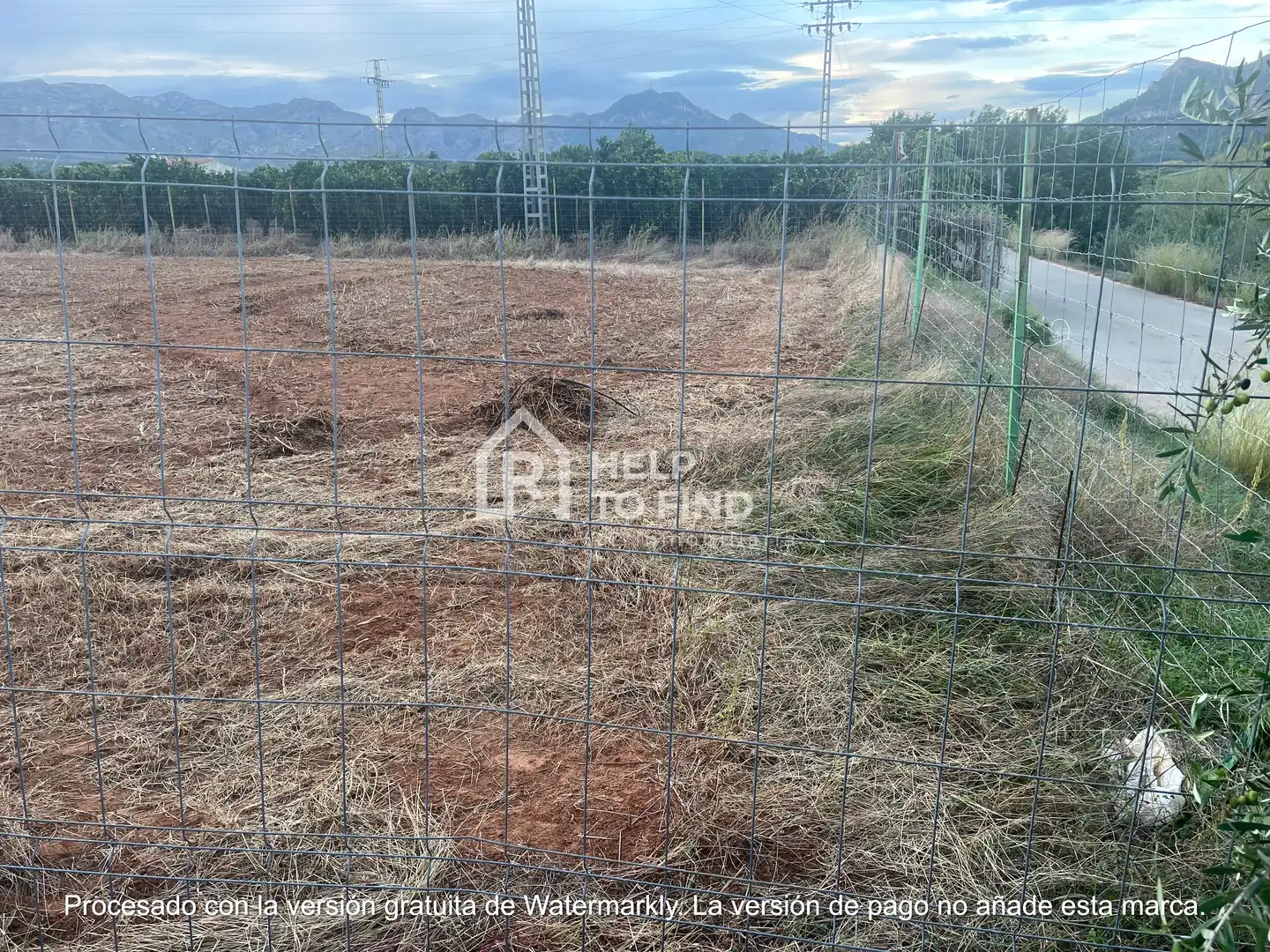 Terreno rústico en venta en Palma de Gandia, imagen 5
