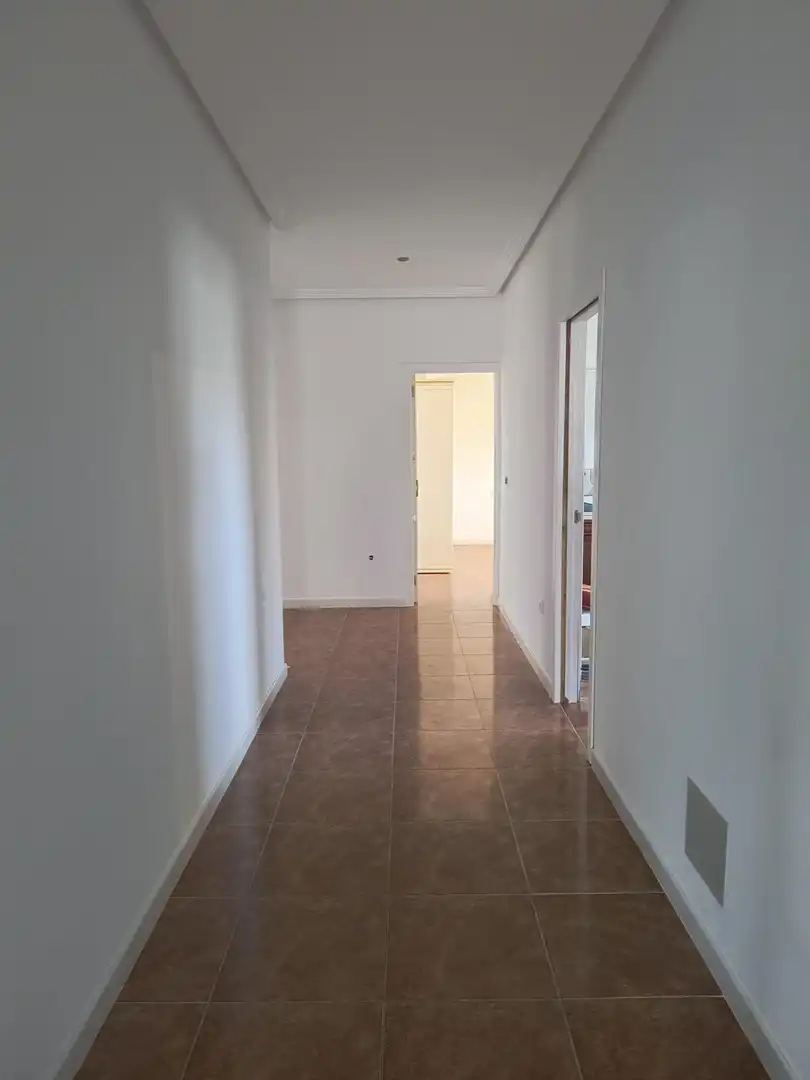 Houses for rent in Alicante / Alacant  with Terrace and Furnished