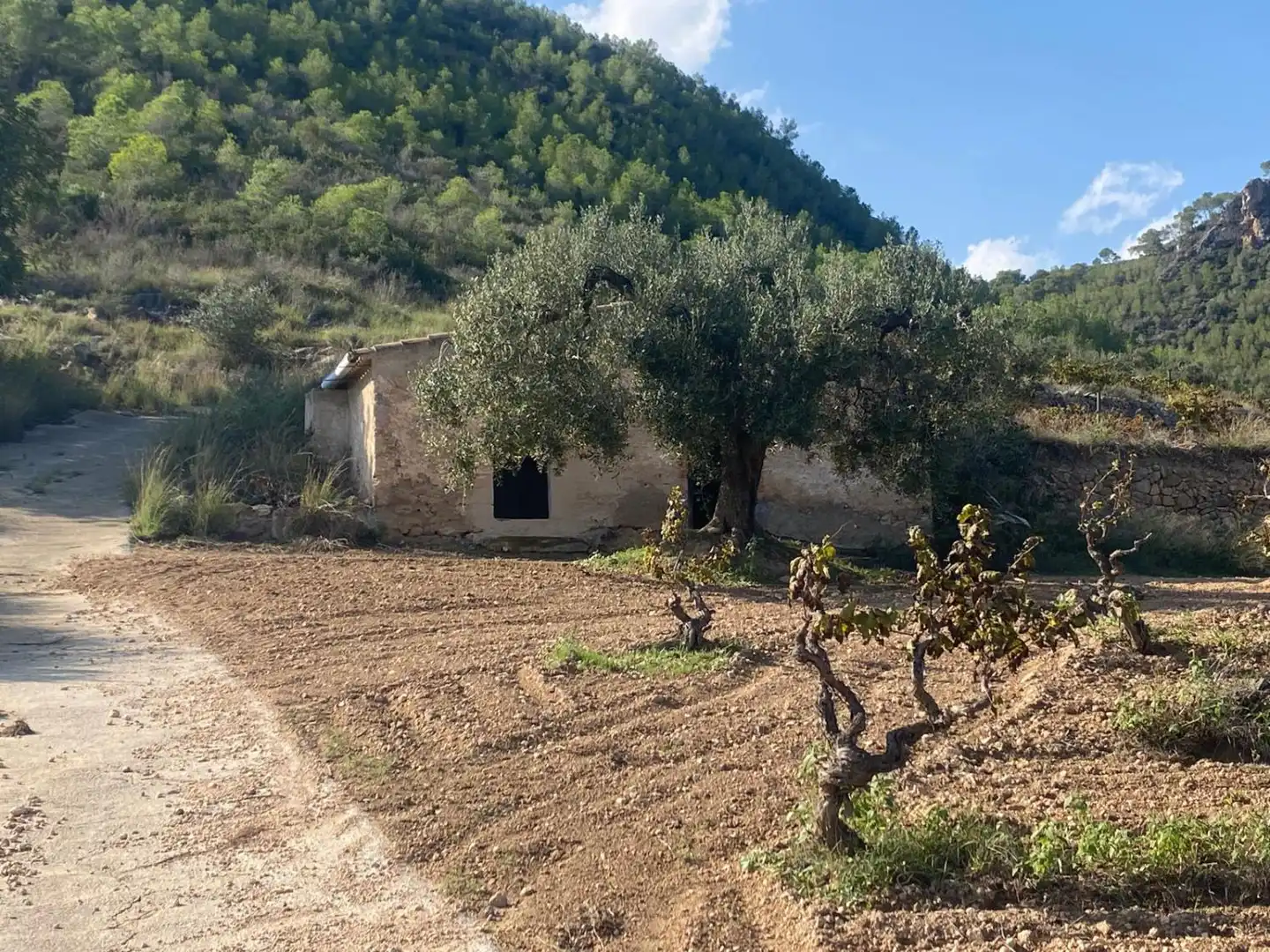 Casa rústica en venta en Albinyana, imagen 3