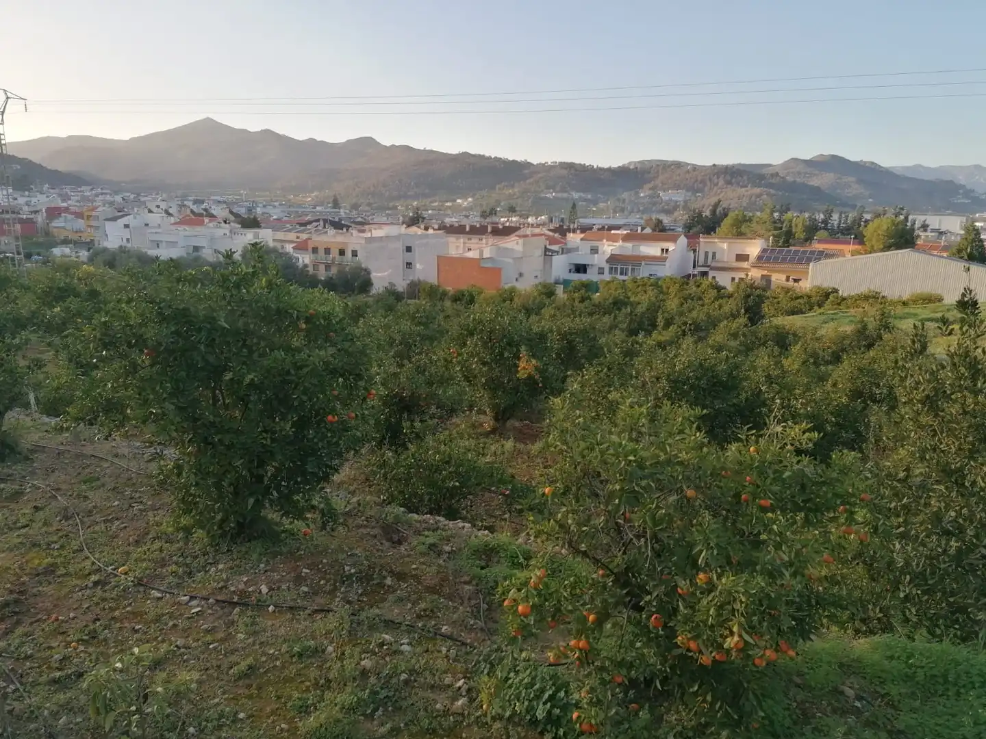 Rural land for sale in Vilallonga / Villalonga, imagen 8