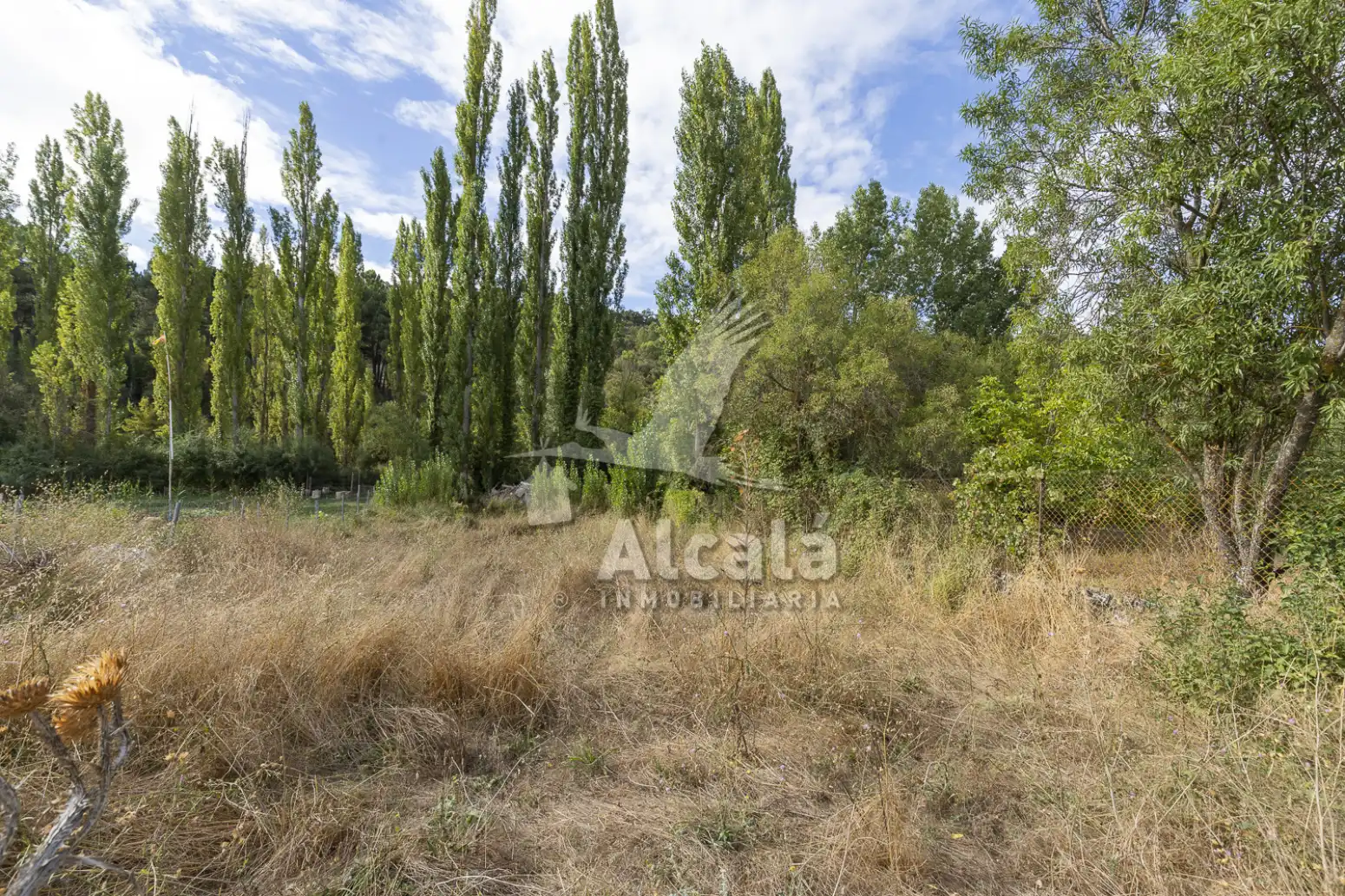 Terreno en venta en Hueva