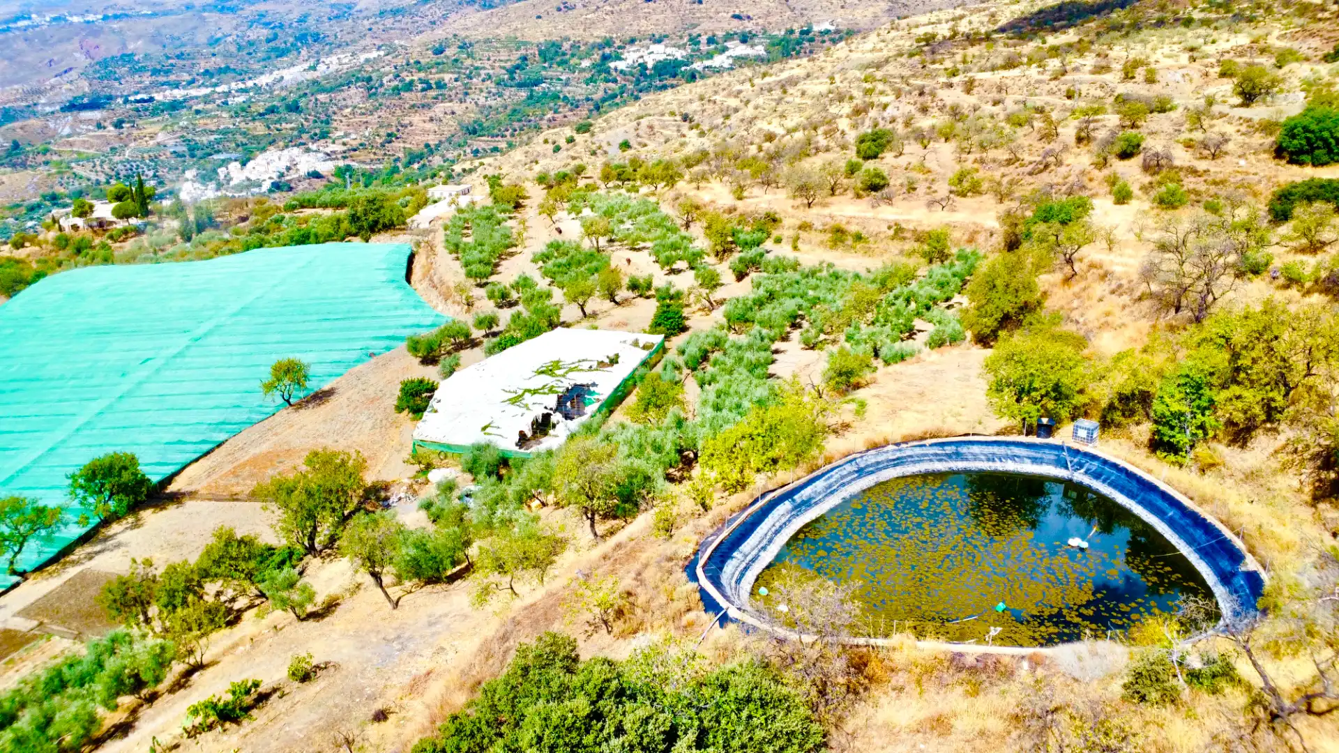 Terreno rustico in vendita a N/A, imagen 12