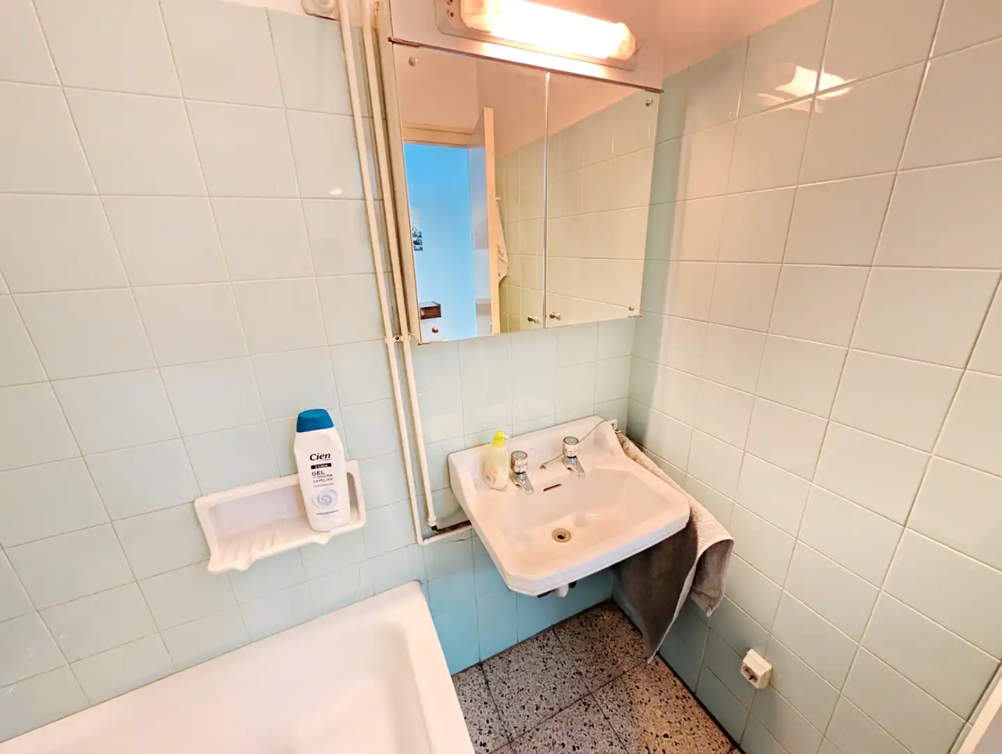 Bany de Casa o xalet en venda en Gombrèn
