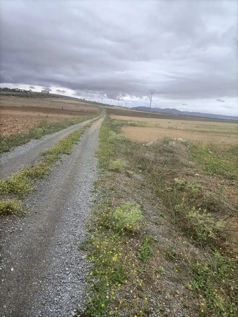 Terreni e lotti in vendita a Villaminaya, imagen 2