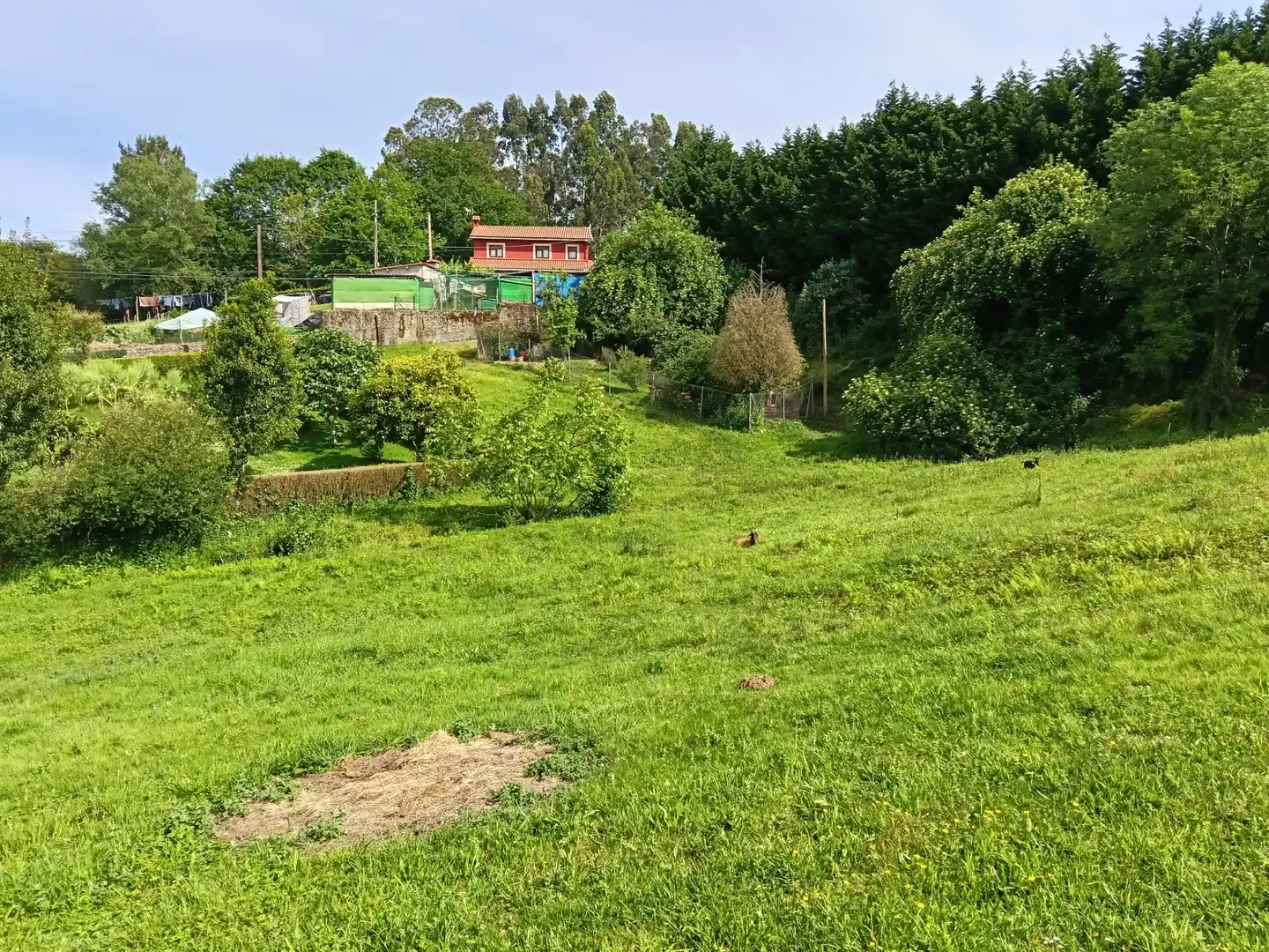 Adossat amb jardí en venda a Oza dos Ríos, imagen 17