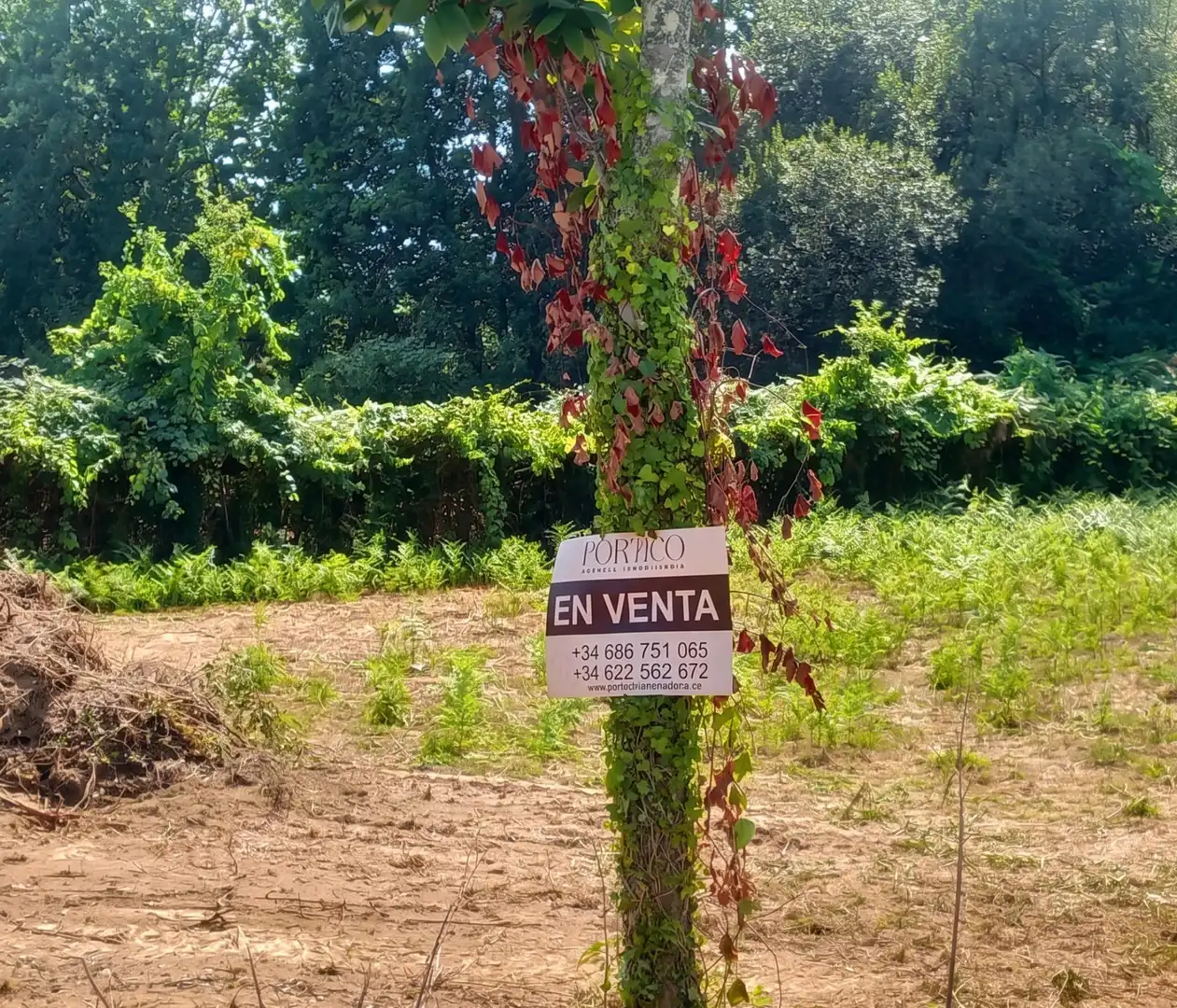 Wohnbaugrundstück zum Verkauf in Salceda de Caselas, imagen 5
