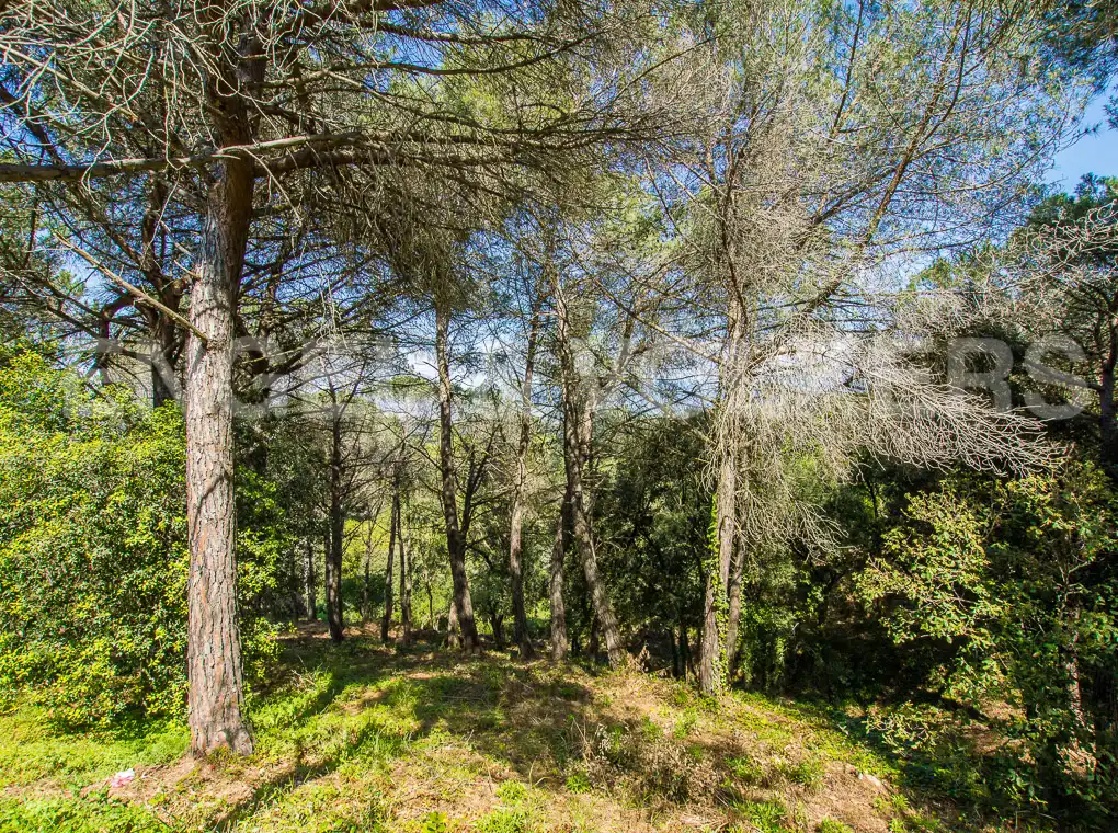 Terreno residencial en venta en Vilanova del Vallès, imagen 3
