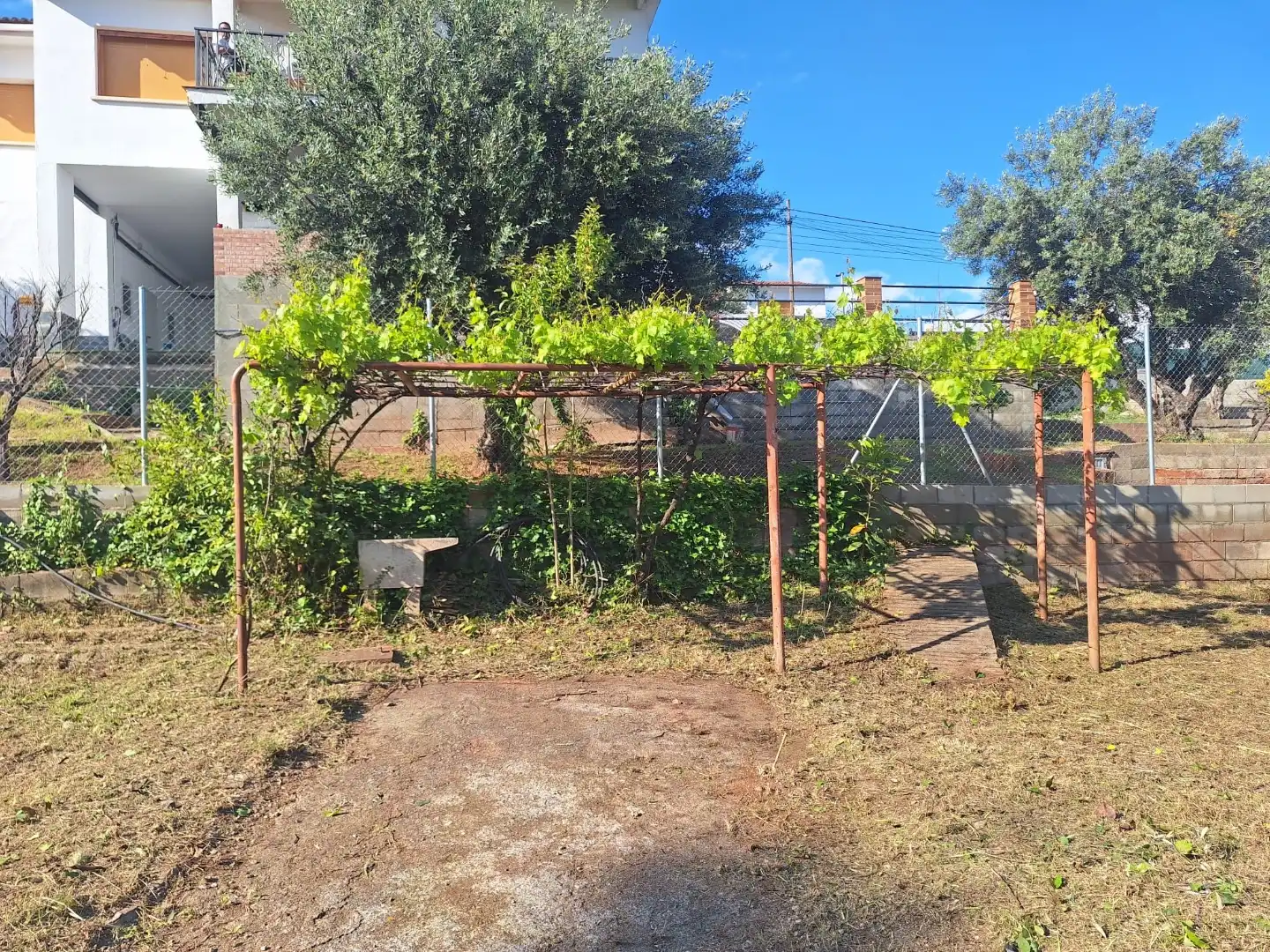 Terreny residencial en venda a Carrer Prunera 6, imagen 4