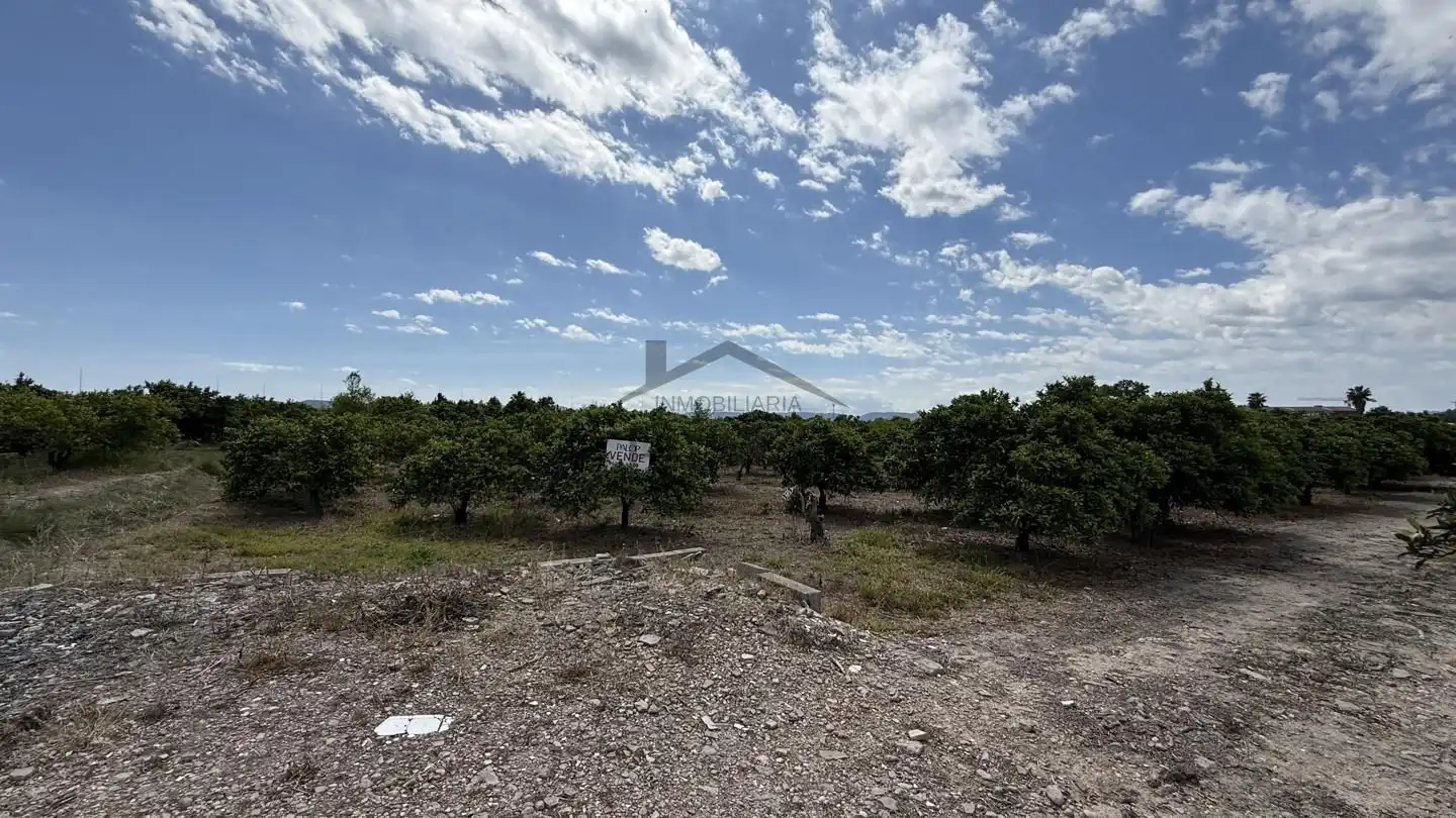 Terrain rustique à vendre à La Pobla Llarga