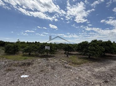 Rustikales Grundstück zum Verkauf in La Pobla Llarga