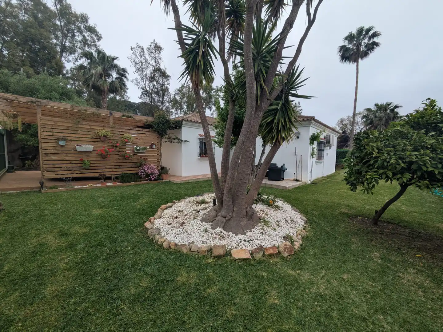 Jardí de Casa o xalet en venda en Algeciras amb Jardí privat