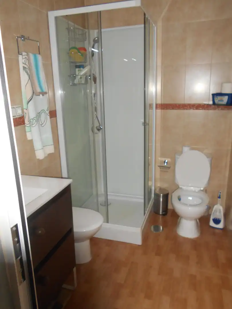 Bany de Casa o xalet en venda en Puertollano amb Traster, Moblat i Balcó