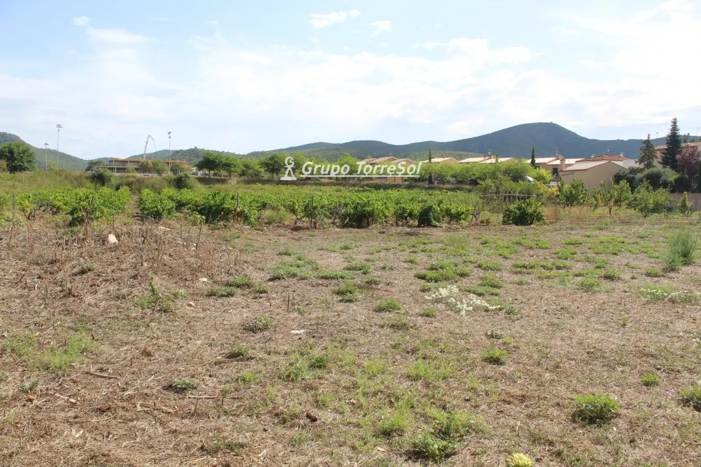 Terreny rústic en venda a esglesia de l', imagen 4