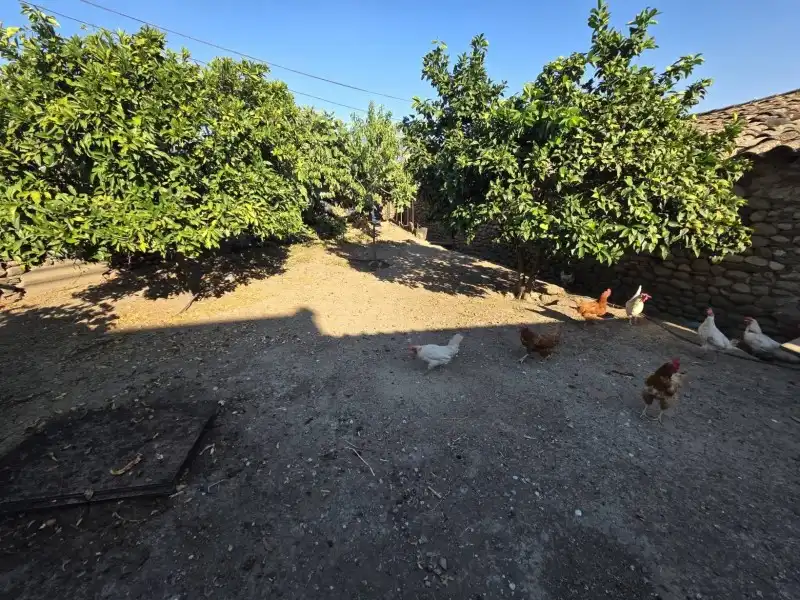 Casa o xalet en venda en La Granja  amb Jardí privat i Moblat