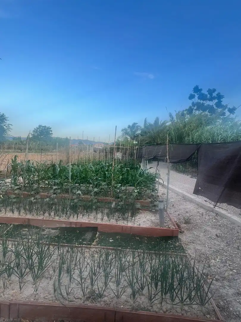 Land for sale in Murcia