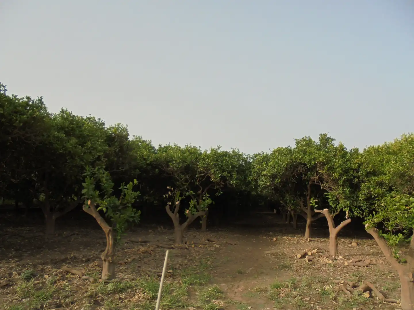 Terreno en venta en Rioja