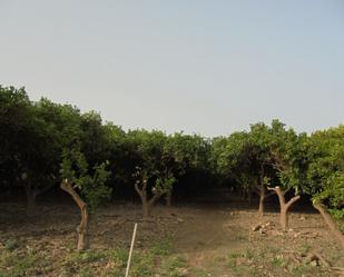 Grundstücke zum verkauf in Rioja