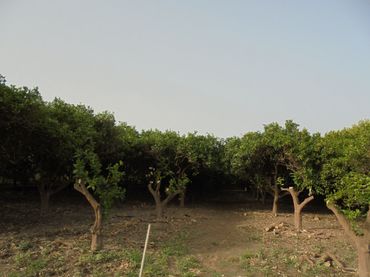 Terreno rustico in vendita a Rioja