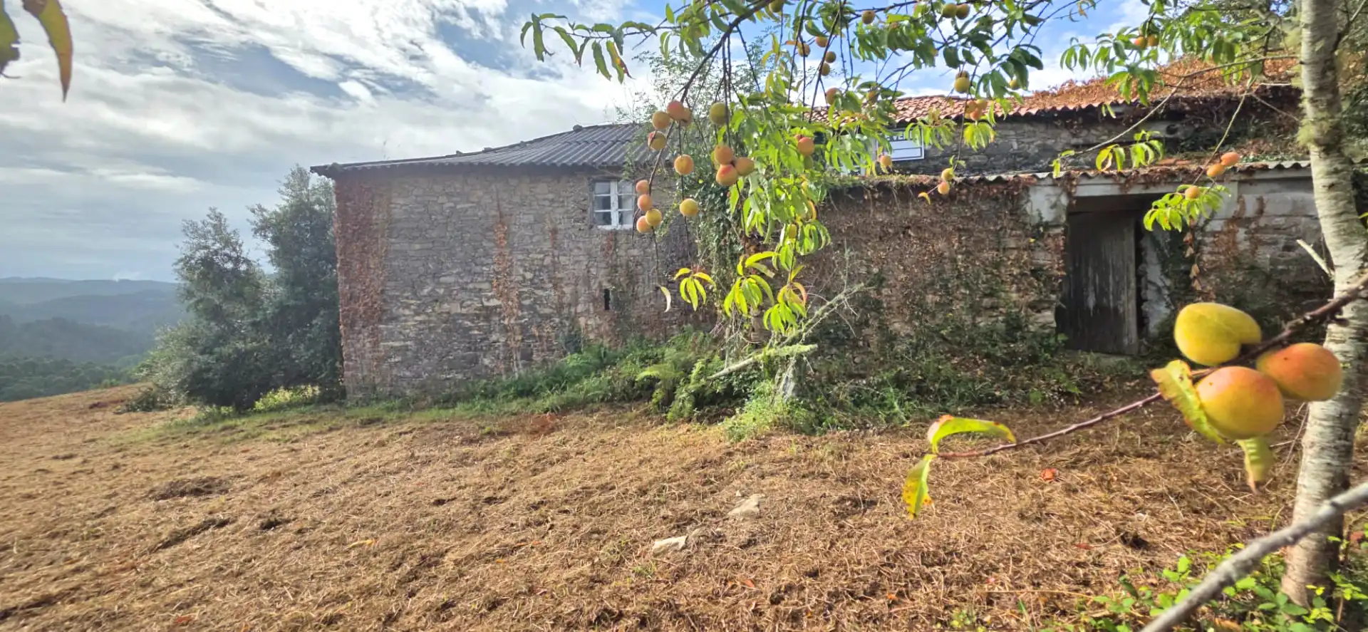 Finca rústica en venda en Valdoviño amb Jardí privat