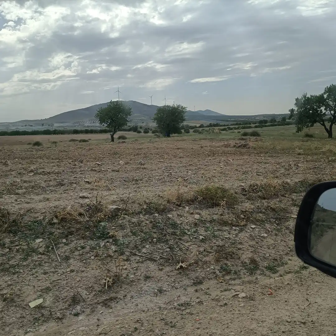 Terreny rústic en venda a Almonacid de Toledo, imagen 11