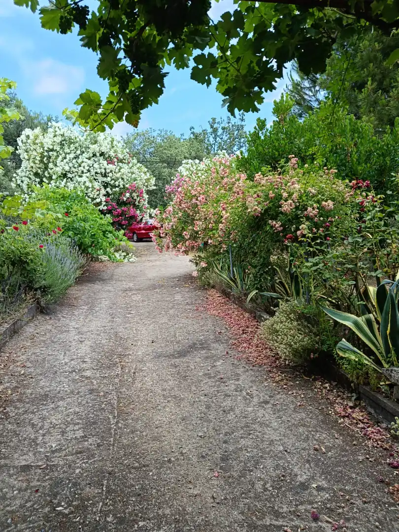 Garden of Land for sale in Jarandilla de la Vera