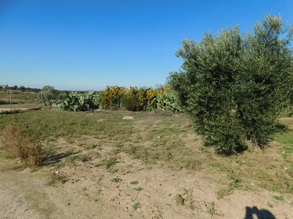 Casa o chalet en venta en La Haba  con Jardín privado y Trastero