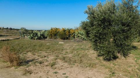 Foto 2 de Casa o xalet en venda a La Haba , Badajoz
