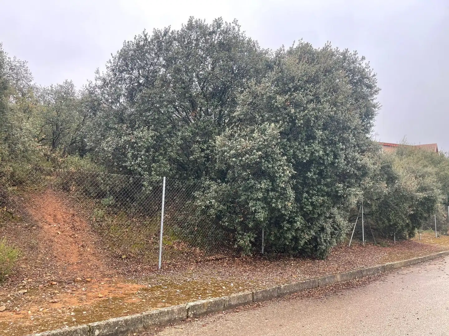 Residential for sale in Valdeaveruelo