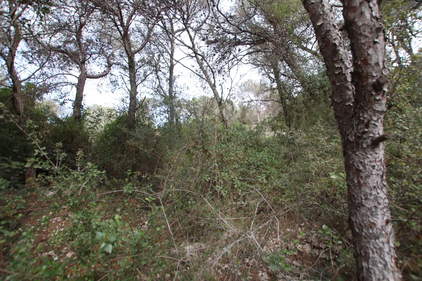Residencial en venta en Cubelles