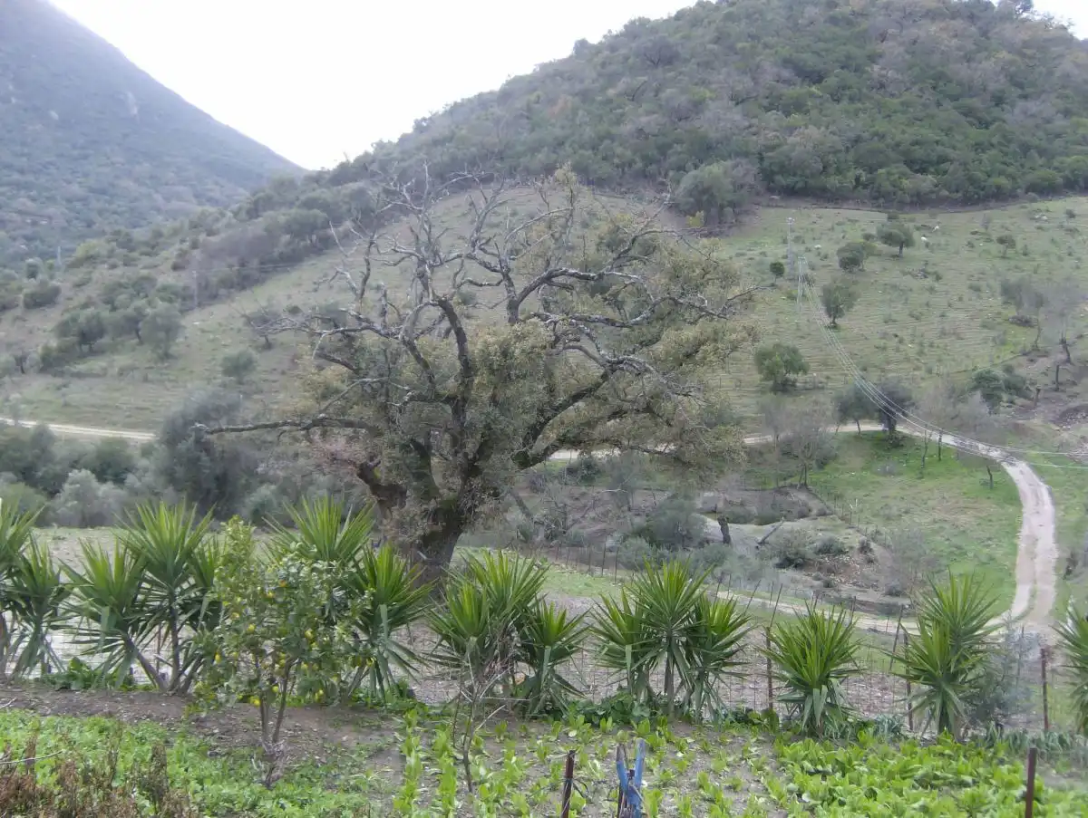 Casa rústica en venda a Benaocaz, imagen 12