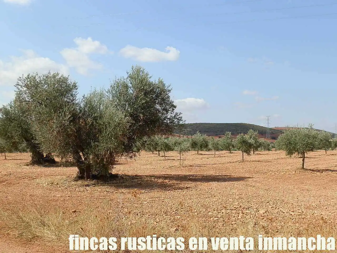 Terreno rústico en venta en Moral de Calatrava, imagen 15