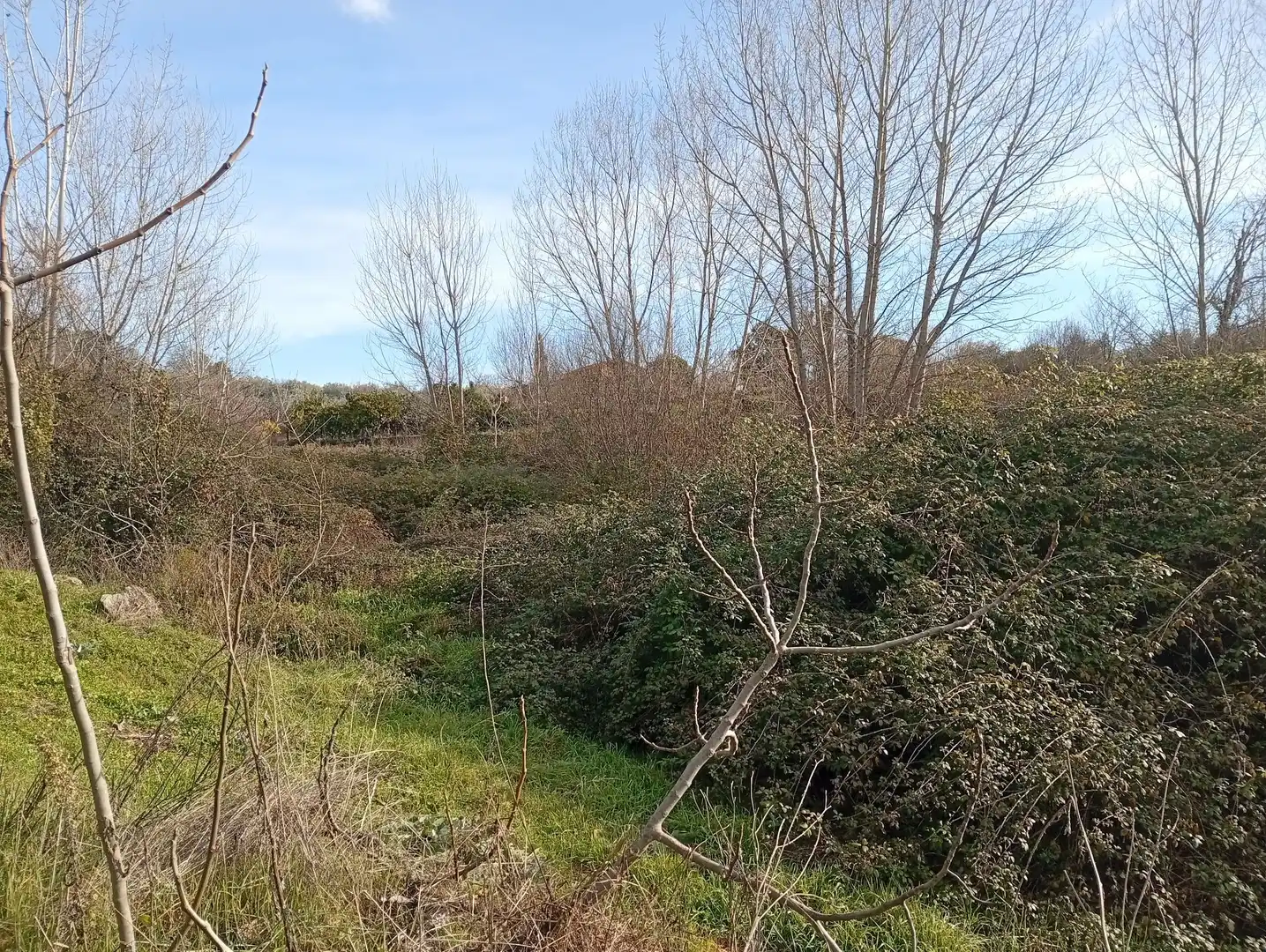 Terreni e lotti in vendita a Valverde de la Vera, imagen 4