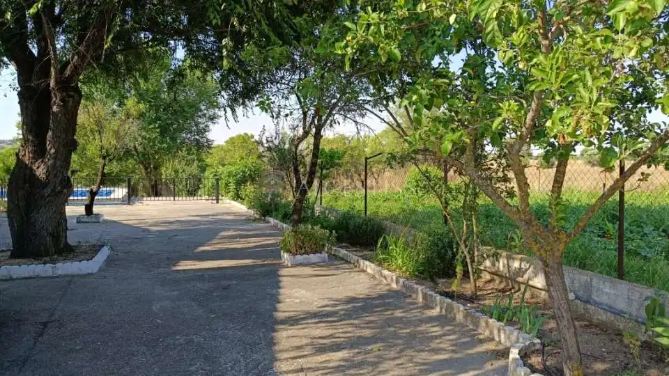 Casa o xalet en venda a El Viso de San Juan