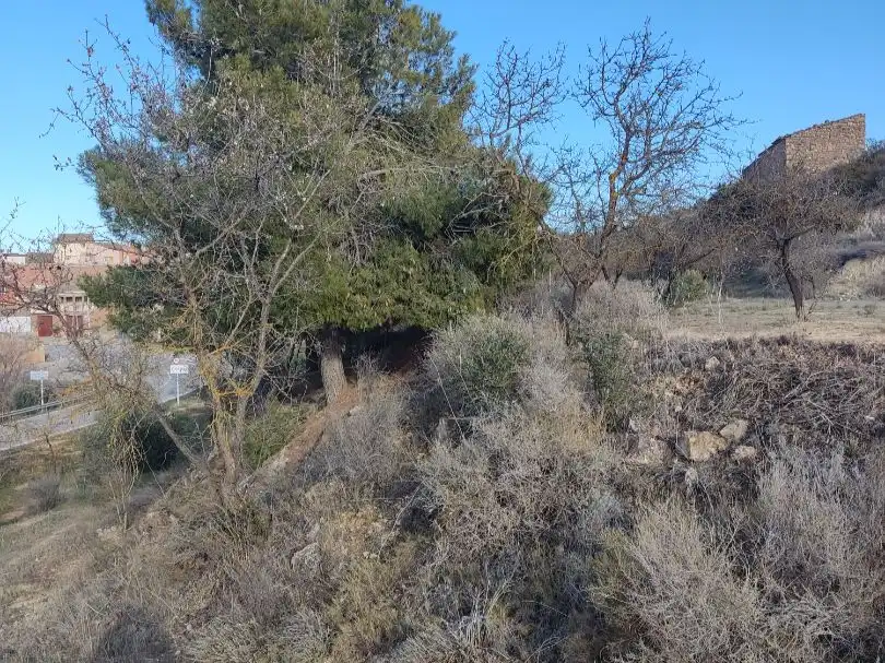 Terreny rústic en venda a Eres 0, imagen 25