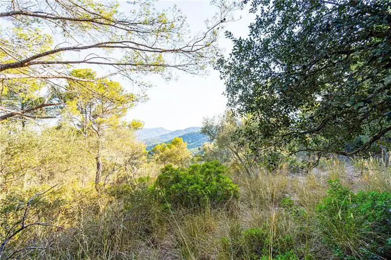 Terreno rustico in vendita a Nord, imagen 4