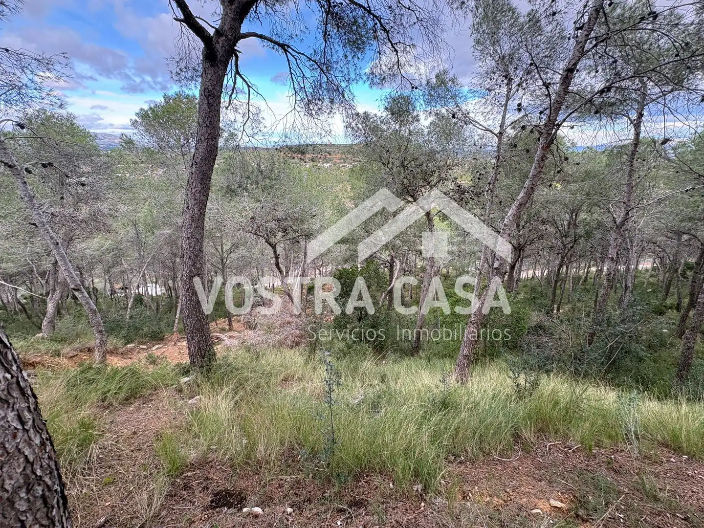 Terreno en venta en Chiva