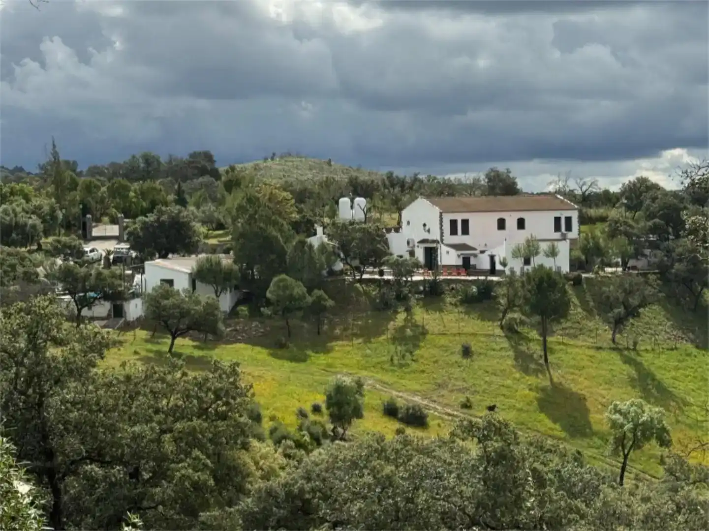 Vista exterior de Finca rústica en venta en El Madroño con Aire acondicionado, Jardín privado y Parquet