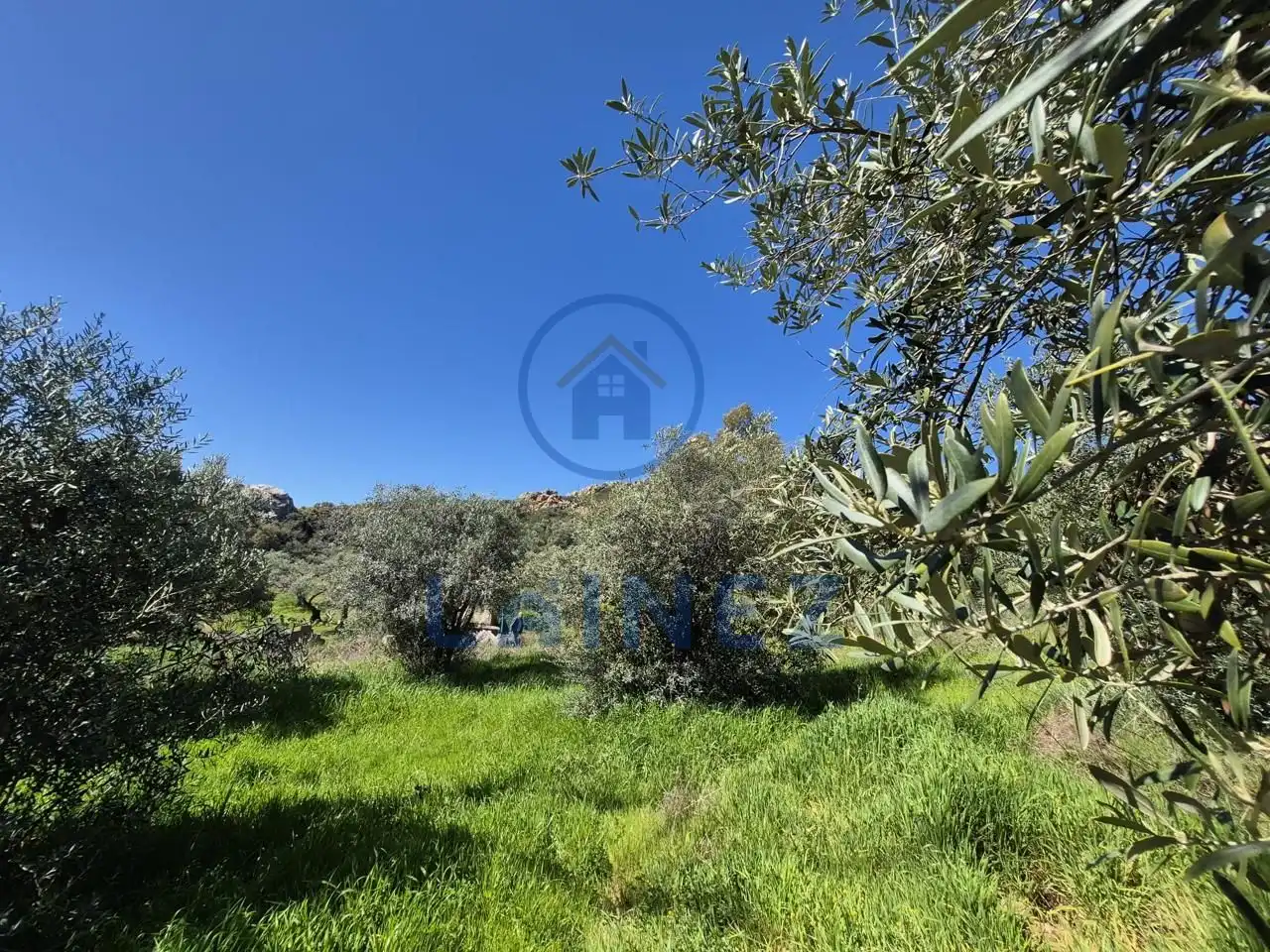 Grundstücke zum Verkauf in Peñarroya-Pueblonuevo