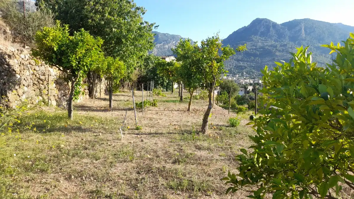 Casa adosada en venta en Sóller