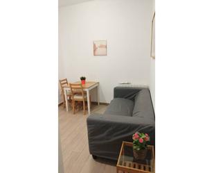 Sala d'estar de Apartament de lloguer en  Madrid Capital amb Aire condicionat, Calefacció i Jardí privat