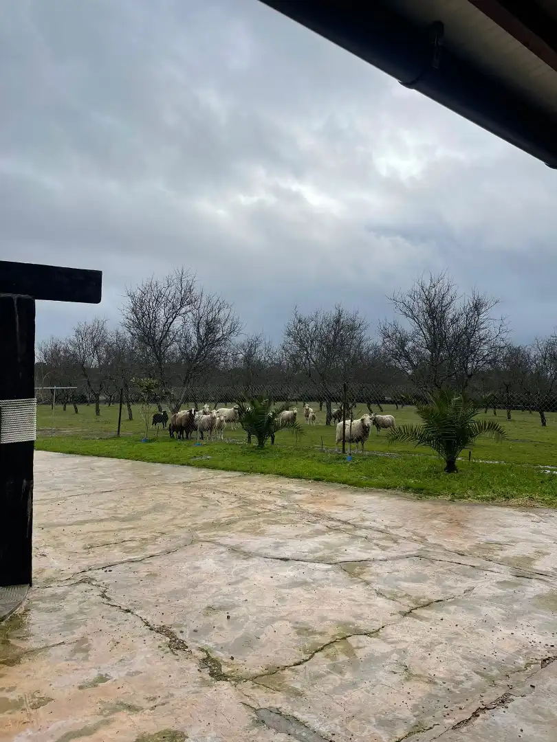 Haus mit Pool zum Verkauf in Carretera Malpartida, imagen 9