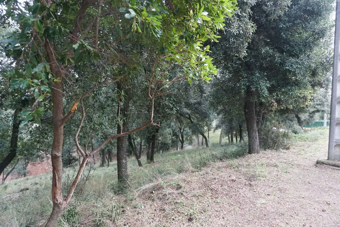 Terreny residencial en venda a Sant Pere de Vilamajor, imagen 5
