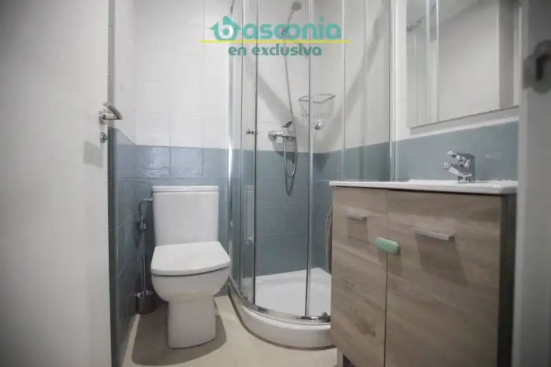 Appartamento con terrazza in vendita a Solokoetxe Kalea, imagen 37