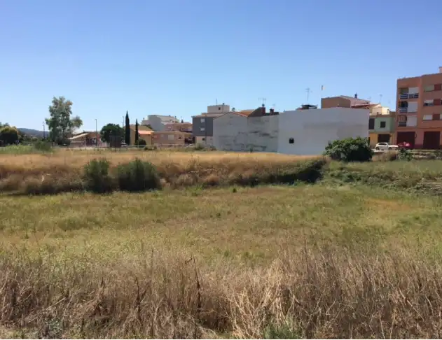 Terreno rústico en venta en Montroi / Montroy, imagen 4
