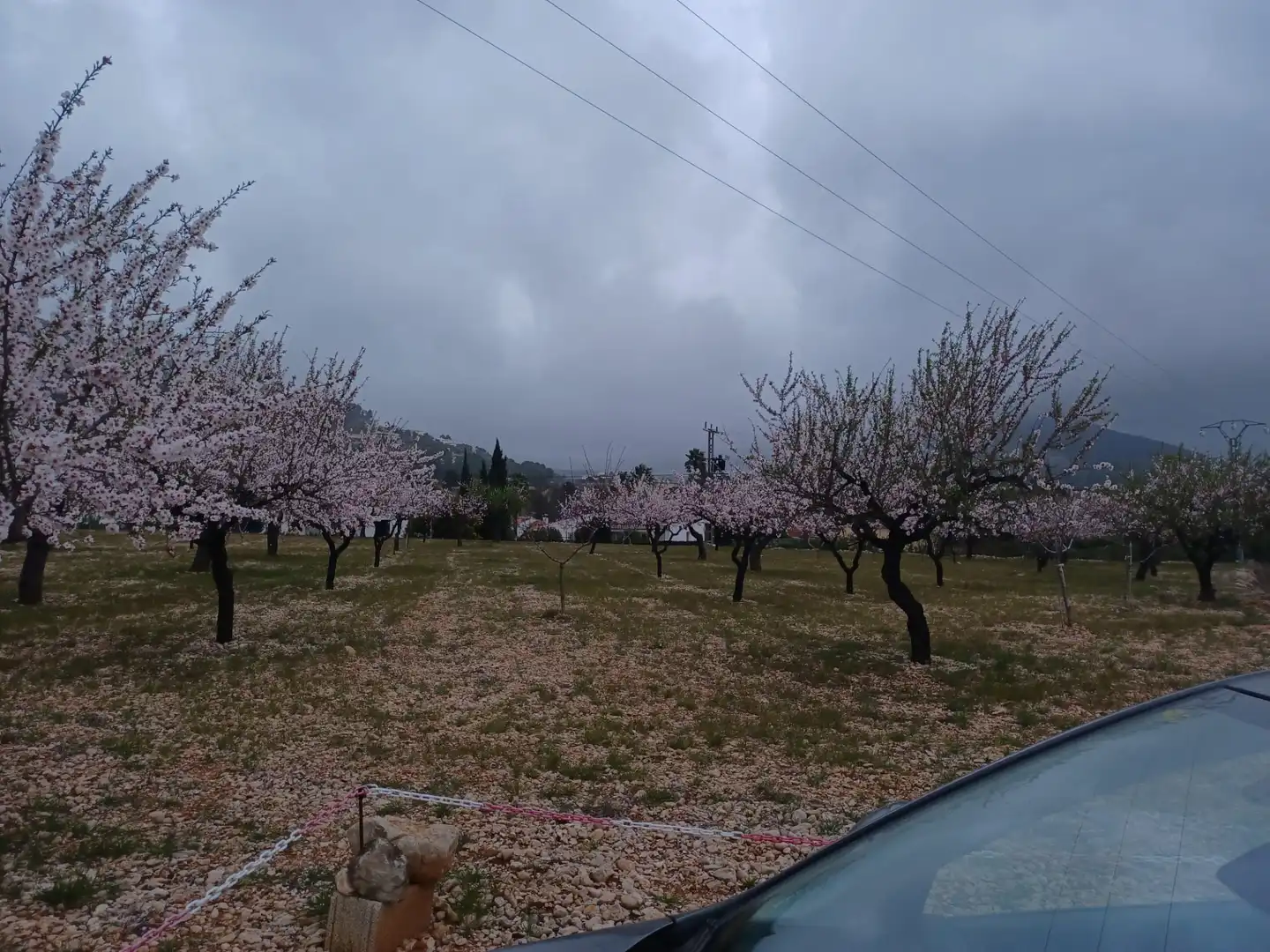Terreny rústic en venda a Alcalalí, imagen 2