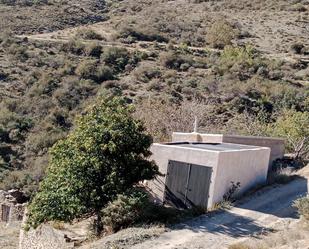 Exterior view of Country house for sale in Bacares  with Furnished