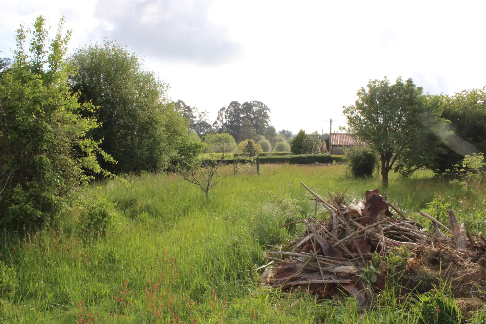 Casa o xalet en venda en Villaviciosa amb Calefacció, Jardí privat i Terrassa